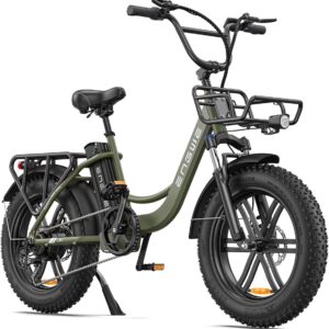 ENGWE E Bike Men's Electric Bicycle Ebike
