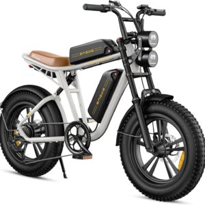 ENGWE E Bike Men's Electric Bicycle Ebike